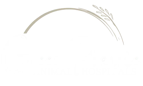 Green Prairie Animal Hospital